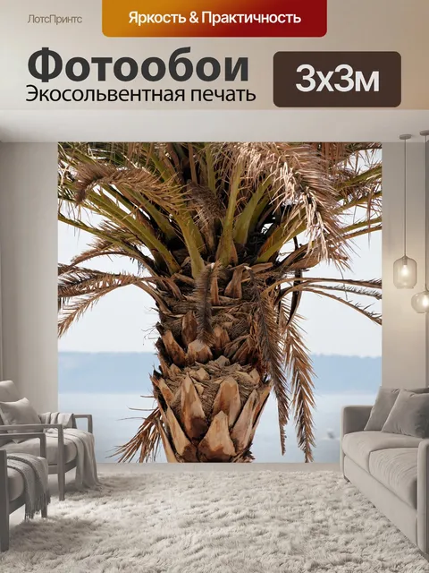 Фотообои Пальма