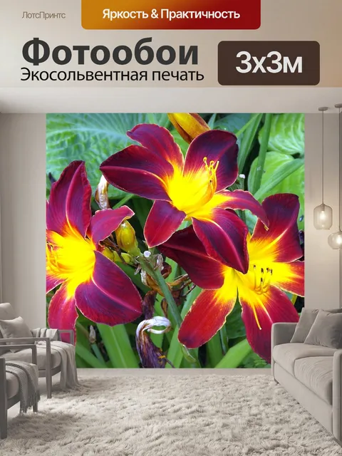 Фотообои Цветы