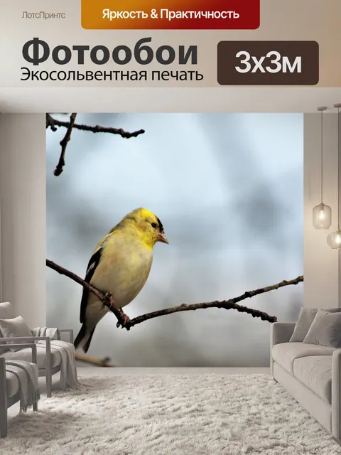 Фотообои Щегол на ветке зимой
