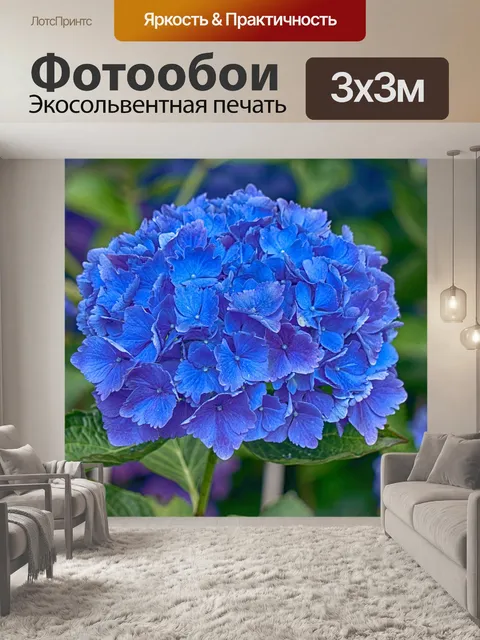 Фотообои Синий гортензии