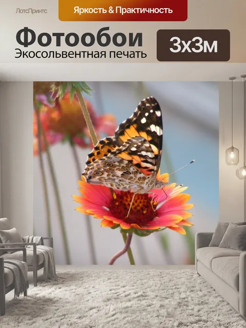 Фотообои Бабочка на цветке