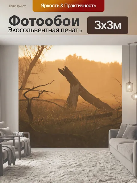Фотообои Лес