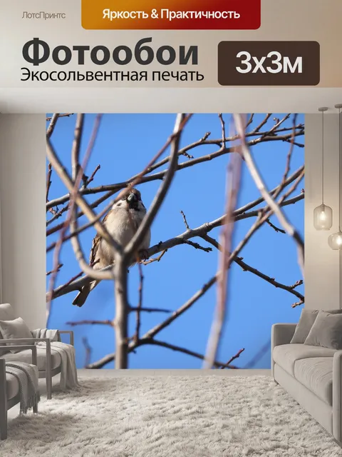 Фотообои Птицы