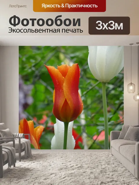 Фотообои Тюльпаны
