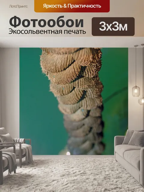 Фотообои Канат