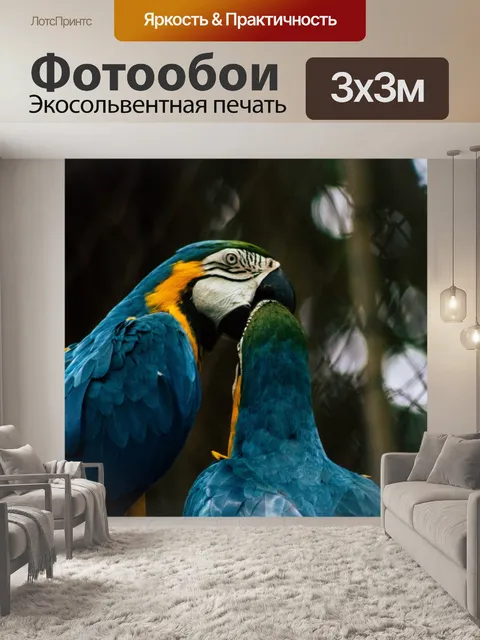 Фотообои Птица