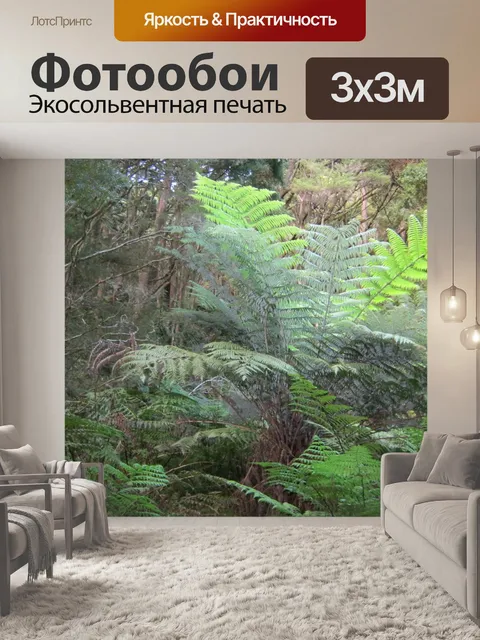 Фотообои Большой папоротник в лесу