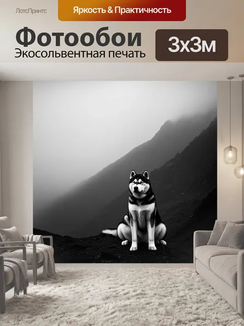 Фотообои густой туман покрывает горную вершину, и гибрид акита-ину и хаски сидит на краю, разглядывая окрестности