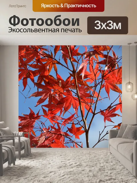 Фотообои Листья кленов