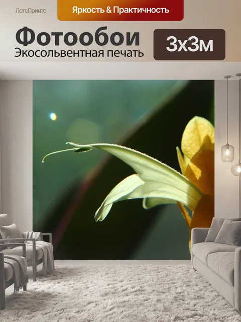 Фотообои Банан цветок