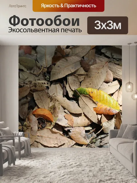 Фотообои Листья