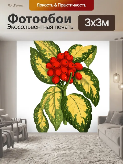 Фотообои Красные Ягоды, Листья, Арт