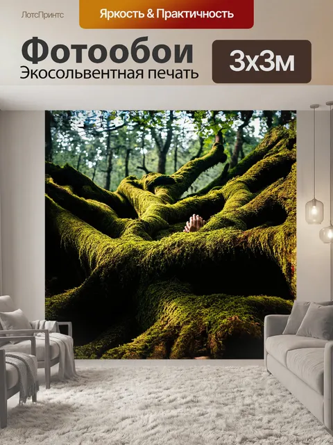 Фотообои глубокий лес хранит секреты скрученного дерева