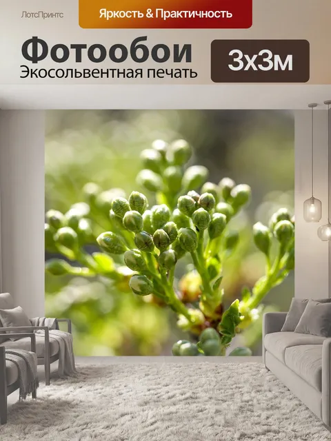 Фотообои Цветы