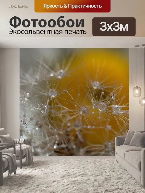Фотообои Одуванчик