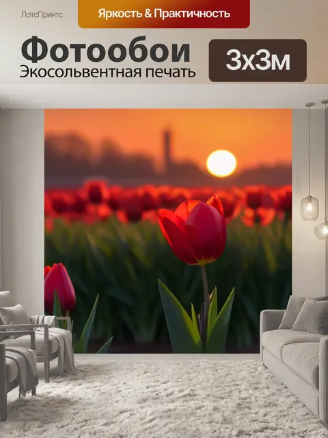 Фотообои тюльпаны на закате