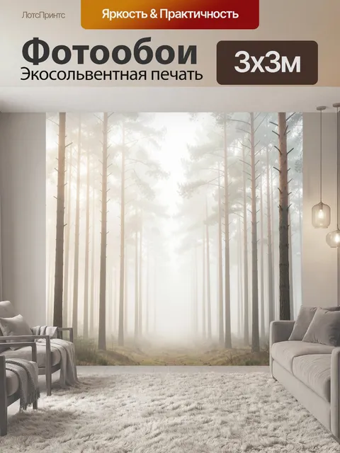 Фотообои Туманный сосновый лес