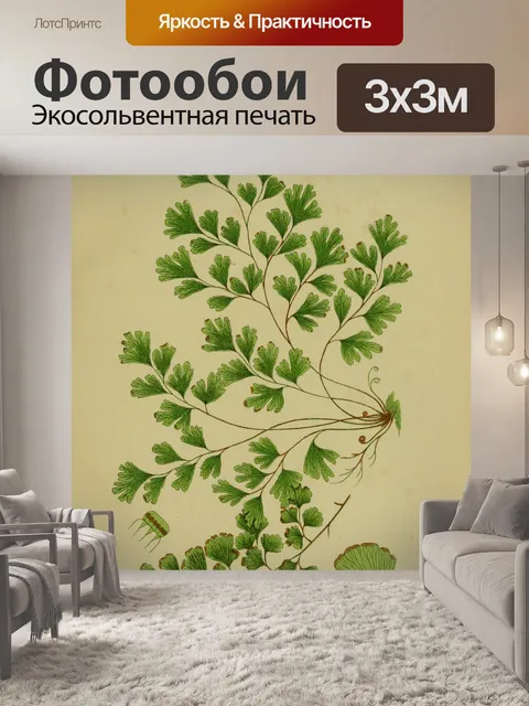 Фотообои Винтажное растение Maidenhair