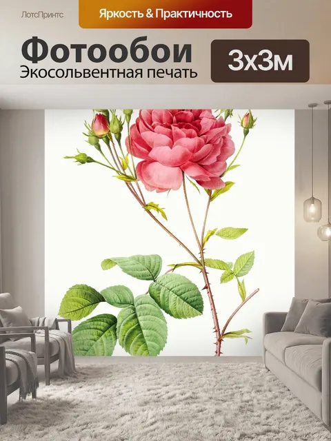 Фотообои Нарисованный цветок розы