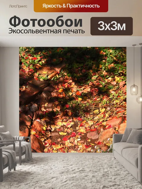 Фотообои опавшие листья на гальке и мощение