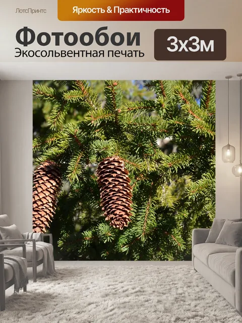 Фотообои Шишки