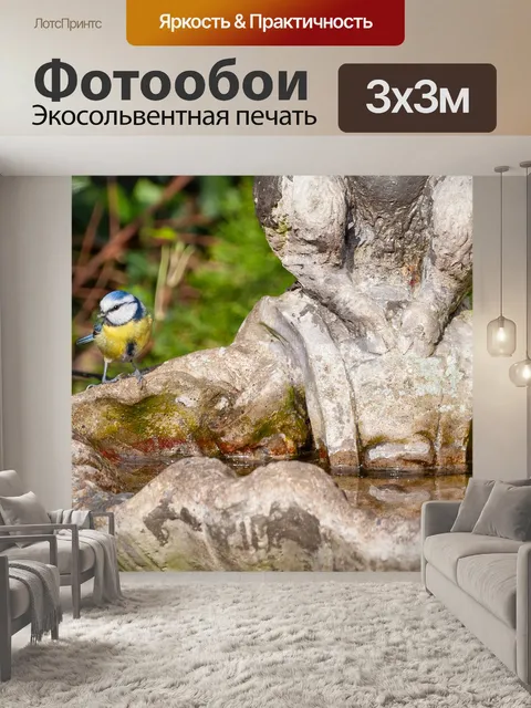 Фотообои Лазоревка на купальню для птиц