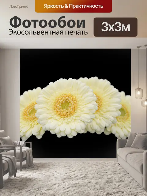 Фотообои Белые цветы