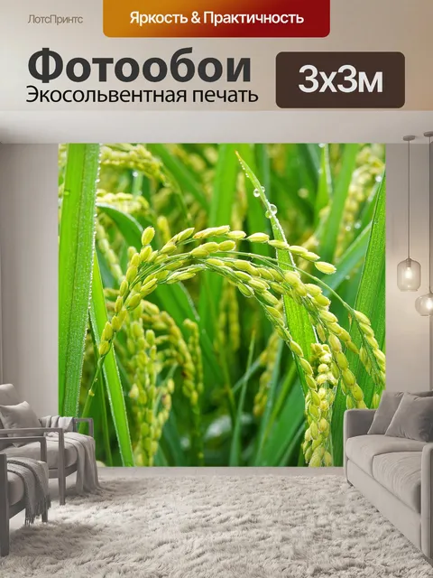 Фотообои Росы