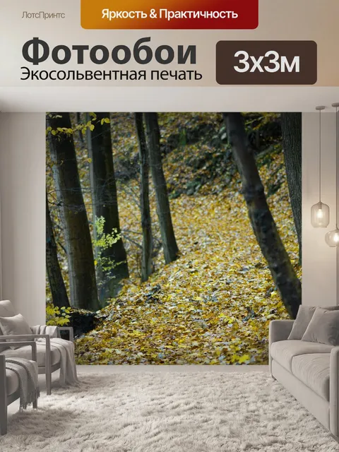 Фотообои Лесной массив