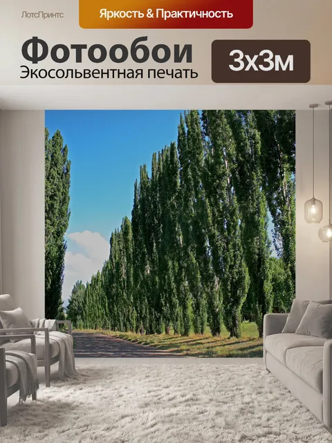 Фотообои полоса тополей