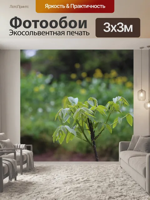 Фотообои Листья