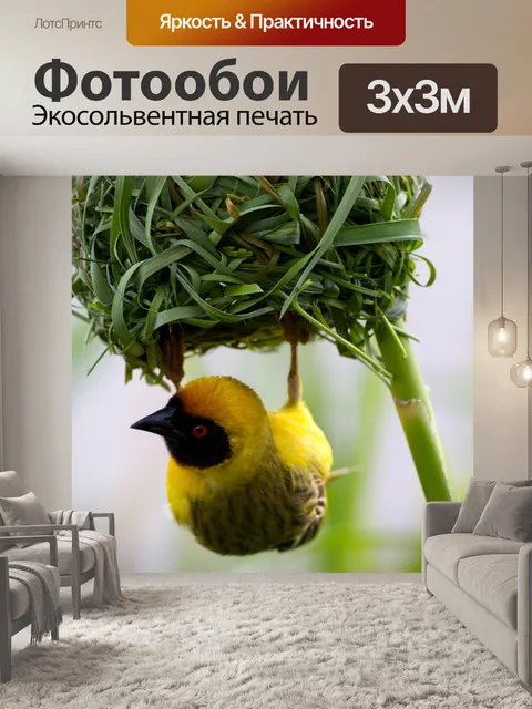 Фотообои Птица