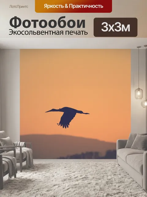 Фотообои Силуэт