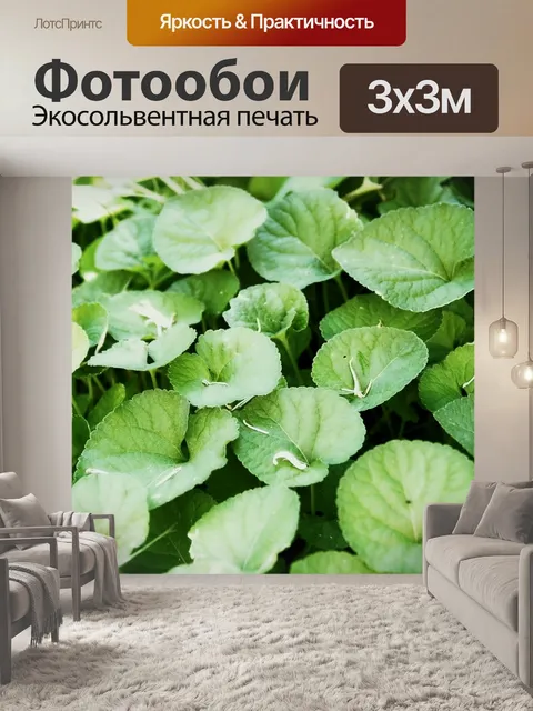 Фотообои Трава