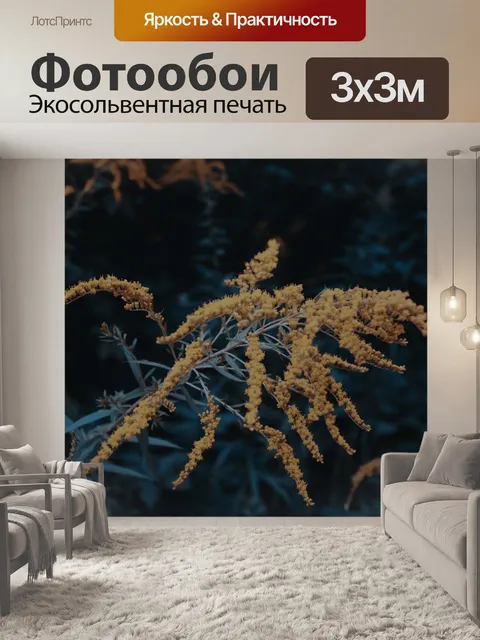 Фотообои Цветы