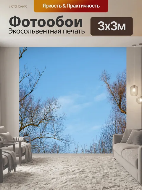 Фотообои Деревья