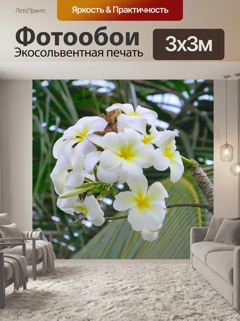 Фотообои Камбоджа
