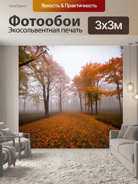Фотообои природа в стиле раскраска, пейзаж с осенним туманом, где деревья затенены мягким светом
