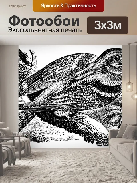 Фотообои Козодой