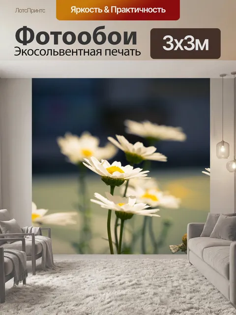 Фотообои Хризантема