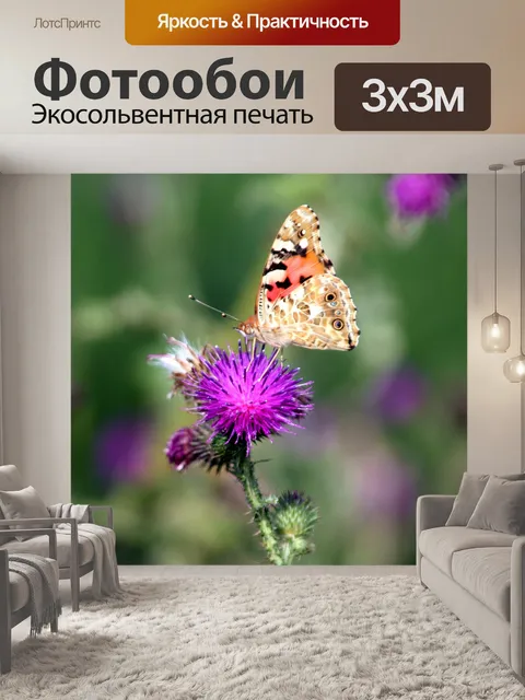 Фотообои Бабочка