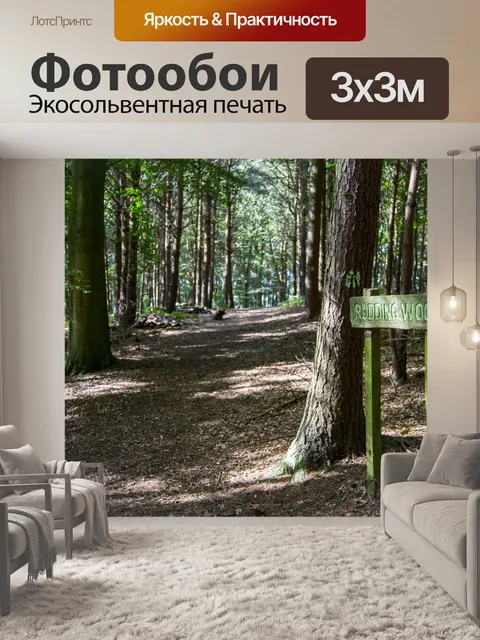 Фотообои лес