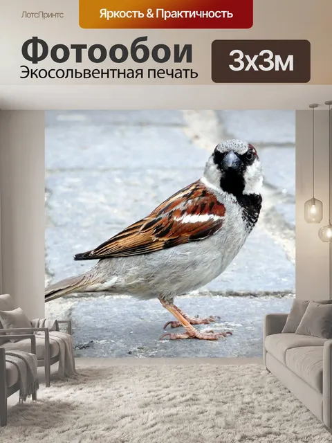 Фотообои Птица