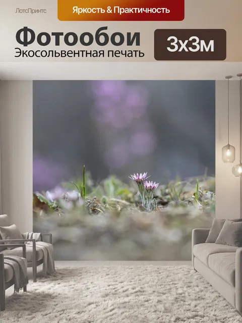Фотообои Цветы