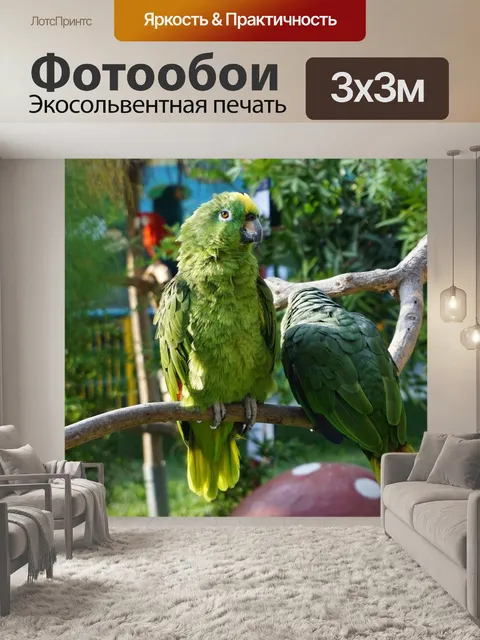 Фотообои Попугай