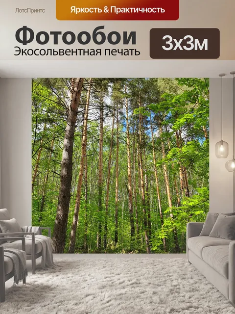 Фотообои Лес