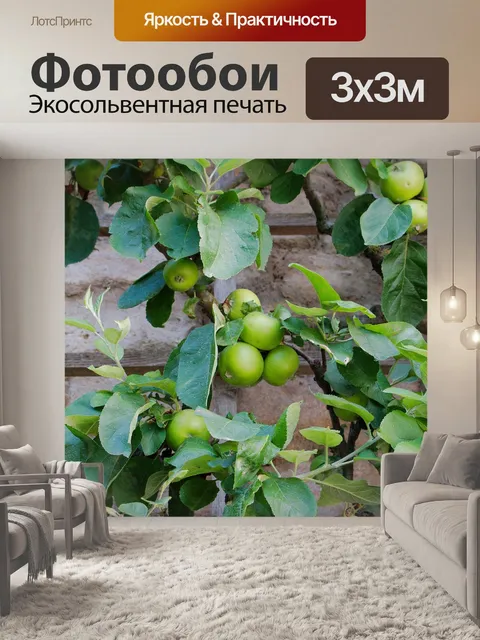 Фотообои Фрукты