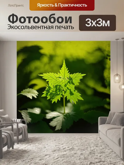 Фотообои в центре кадра — высокая крапива с яркими зелеными листками, дразнящими своими острыми краями
