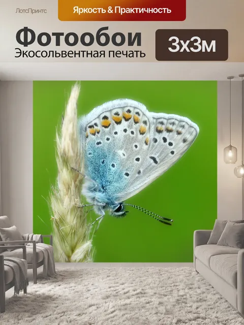 Фотообои Голубоватый