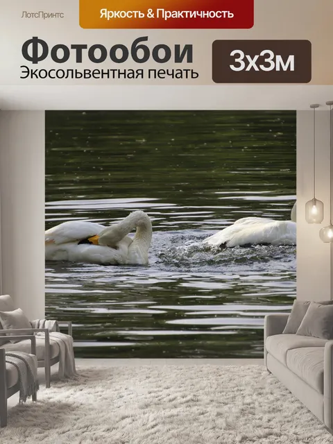 Фотообои Лебеди